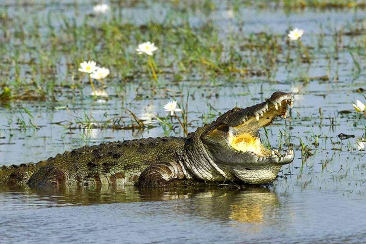 Hurulu Eco Park