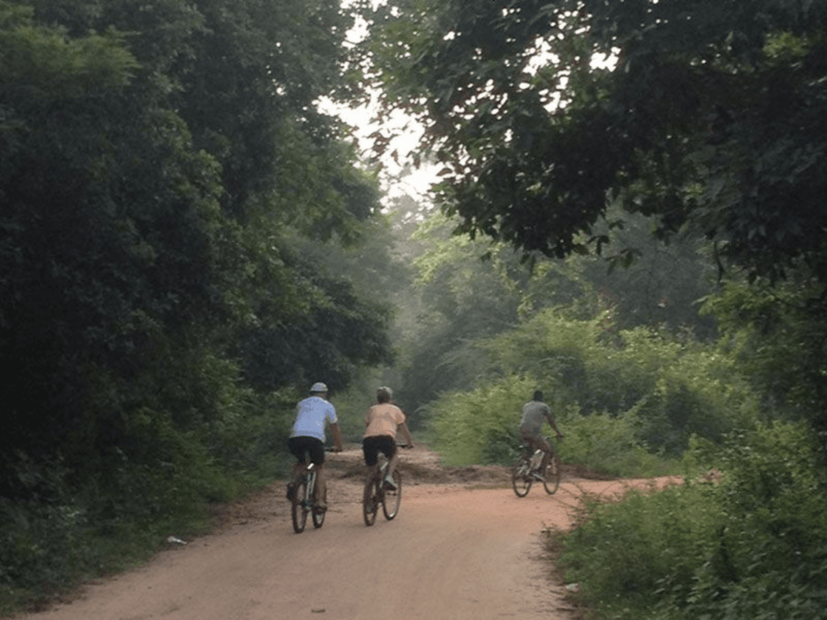 Bicycle rent photo 4