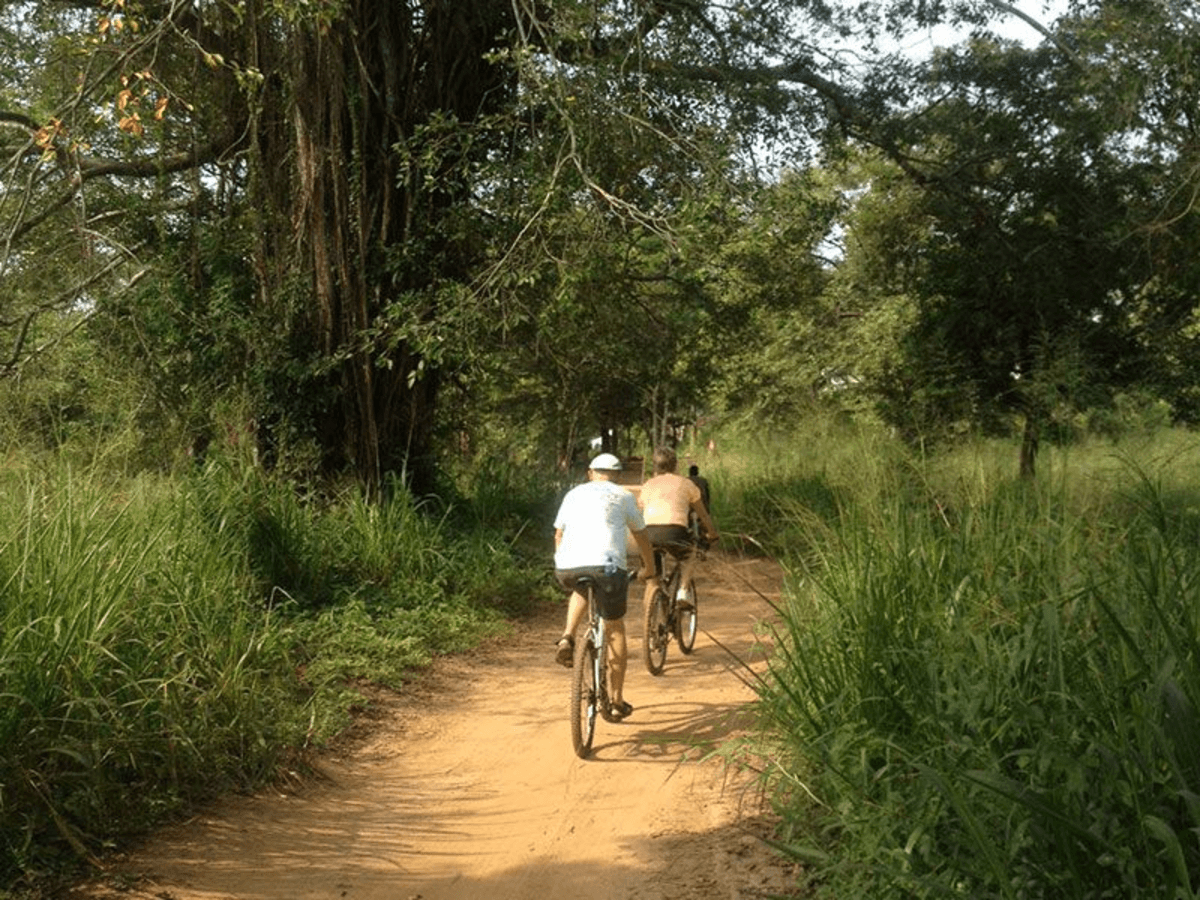 Bicycle rent photo 2