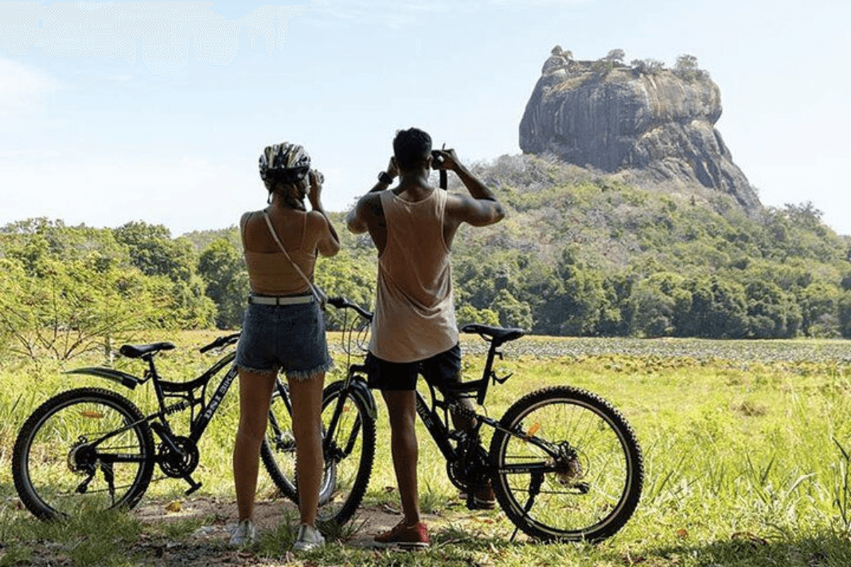 Bicycle rent photo 1
