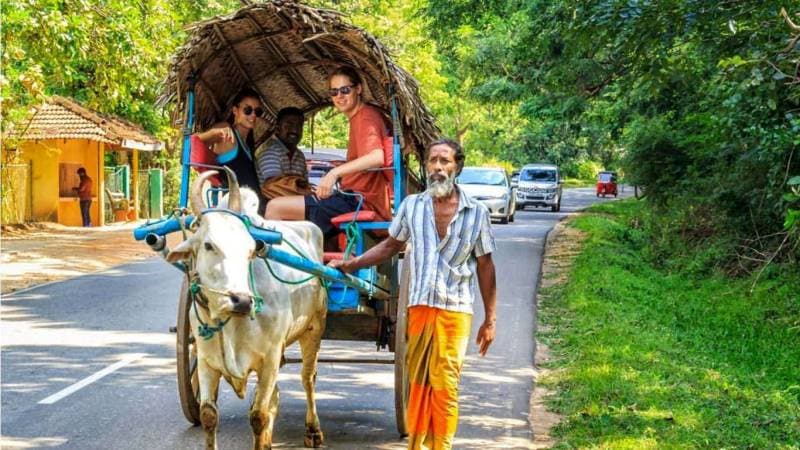 Village Tour in Sigiriya Sri Lanka