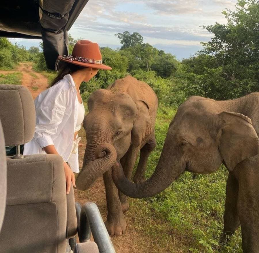 Wildlife photography from Sri Lanka safari tour